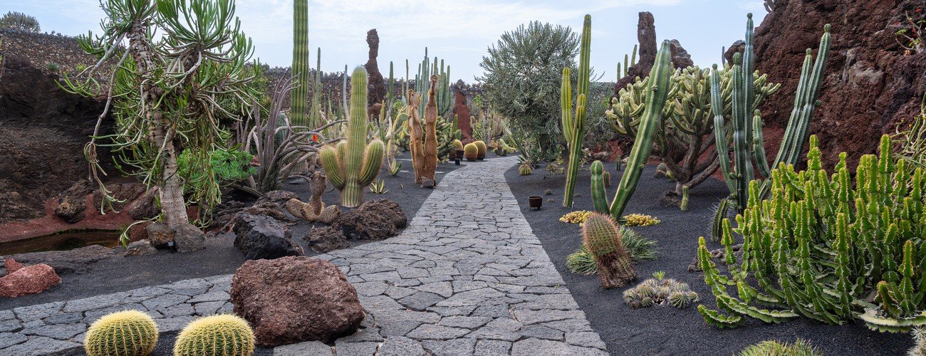 Desert Rock & Cactus Gardens