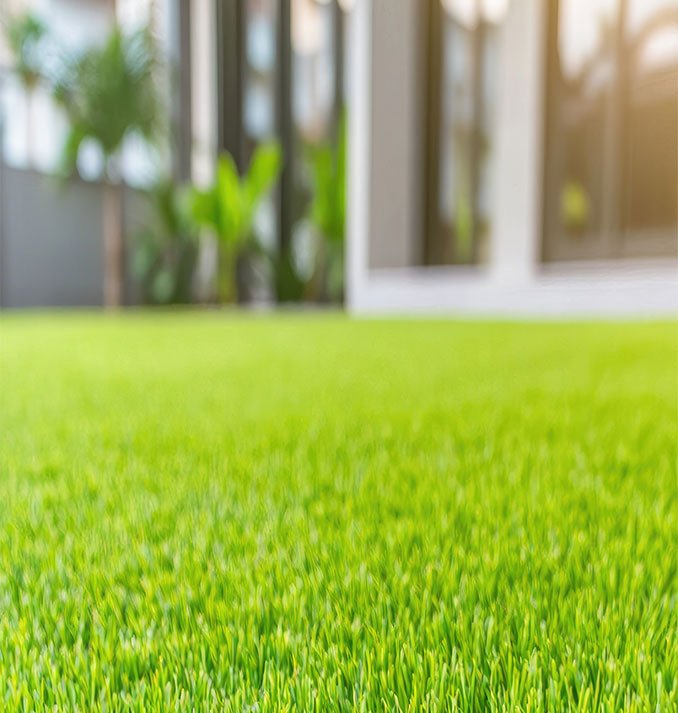 Grass Installation Services in Dubai