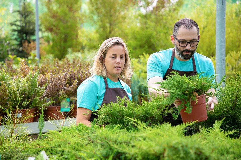 Why Edenscape Is More Than a Landscaping Company: A Complete Property Transformation Partner