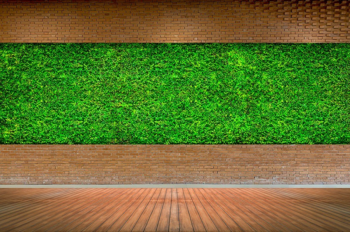 green wall design