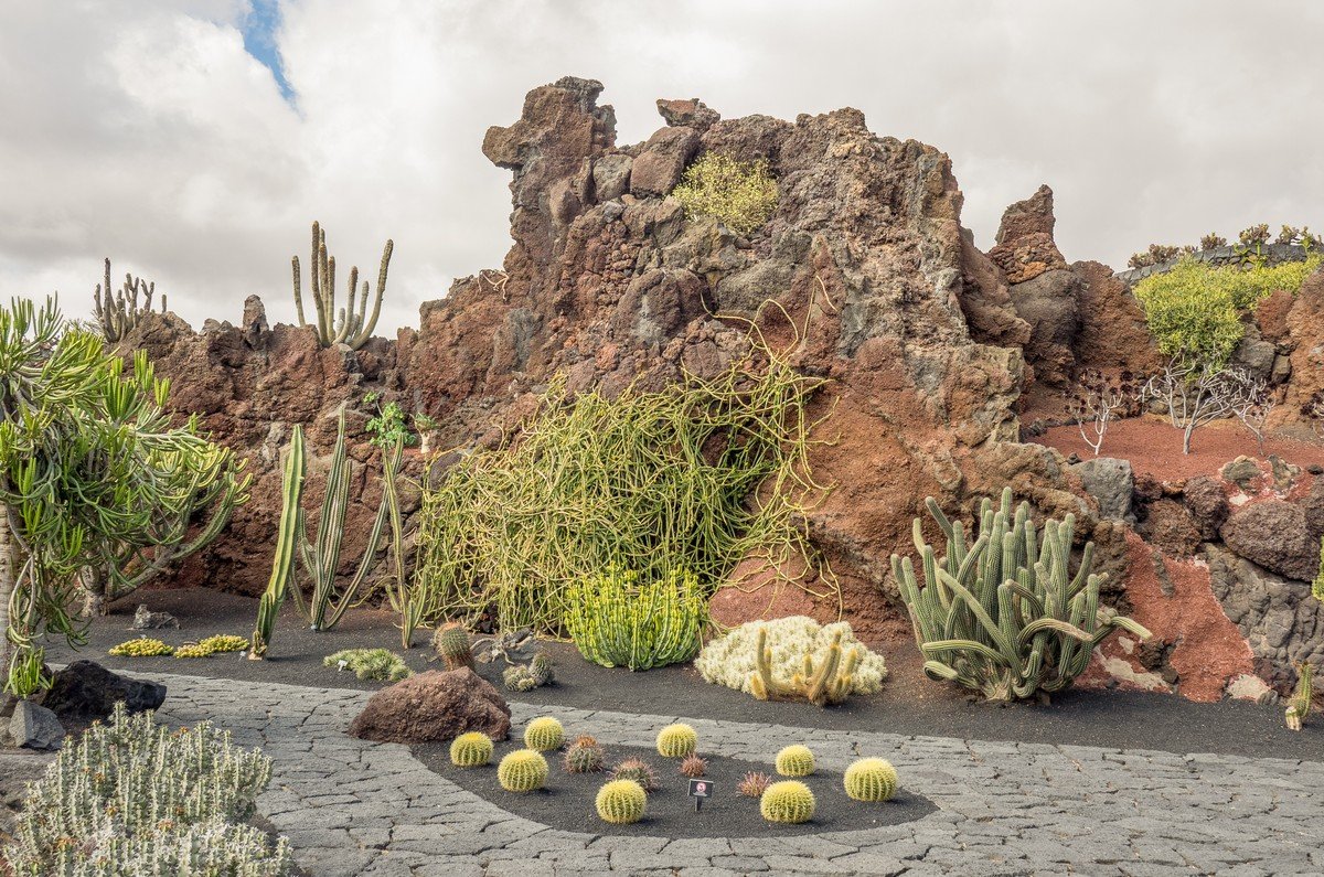 Desert Rock Garden