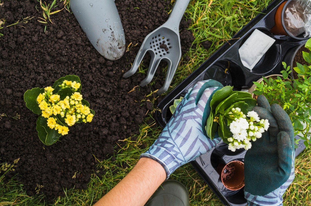 Garden Care Services in Dubai