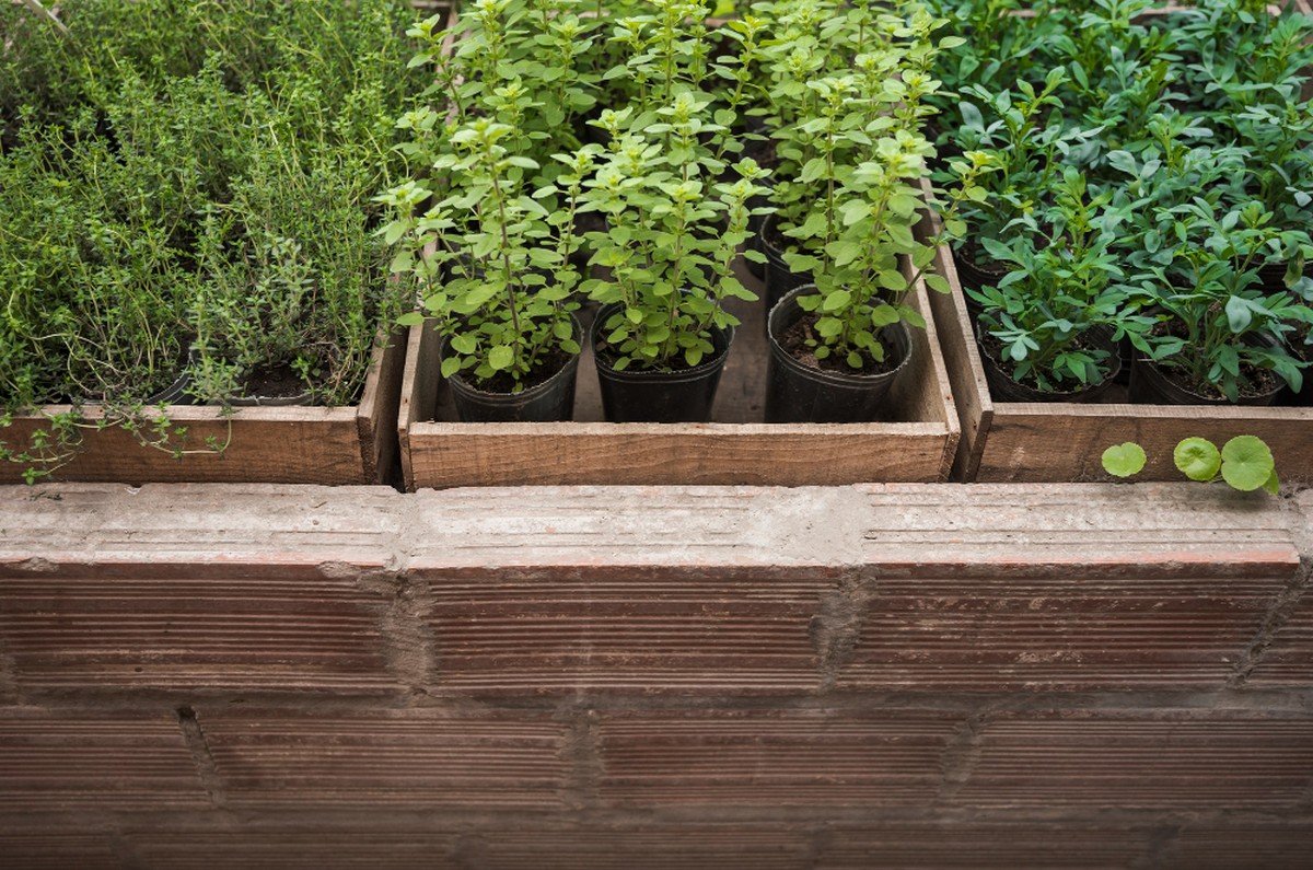 planter box suppliers in uae