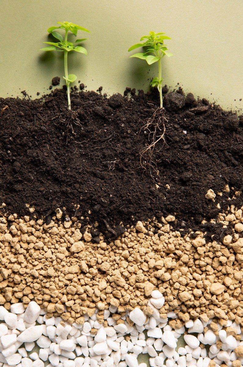 soil fertilization