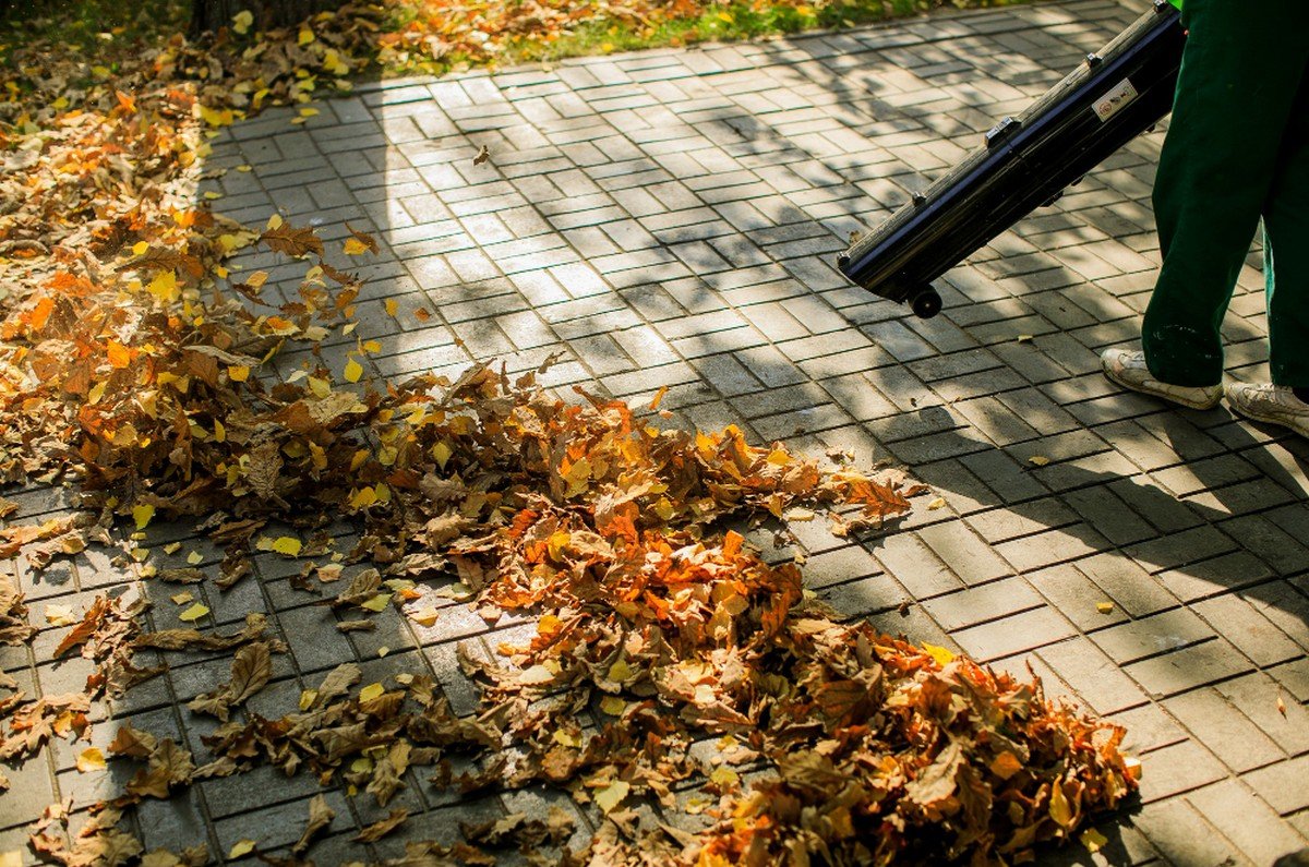 Pathway Cleaning Services in Dubai