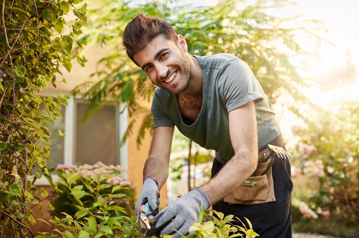 best tree trimming services in dubai