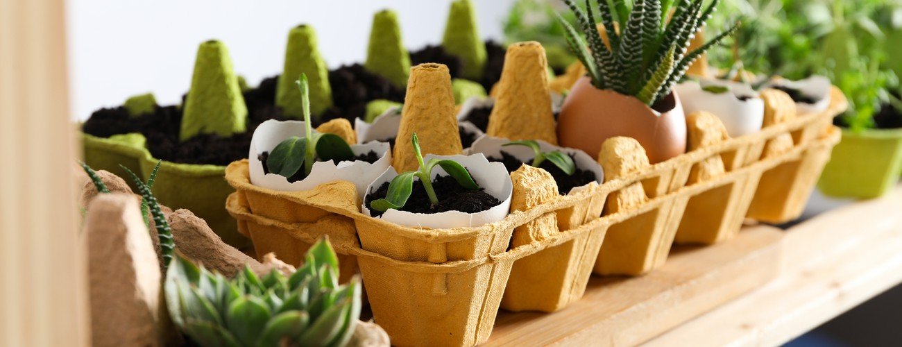 custom planter boxes dubai