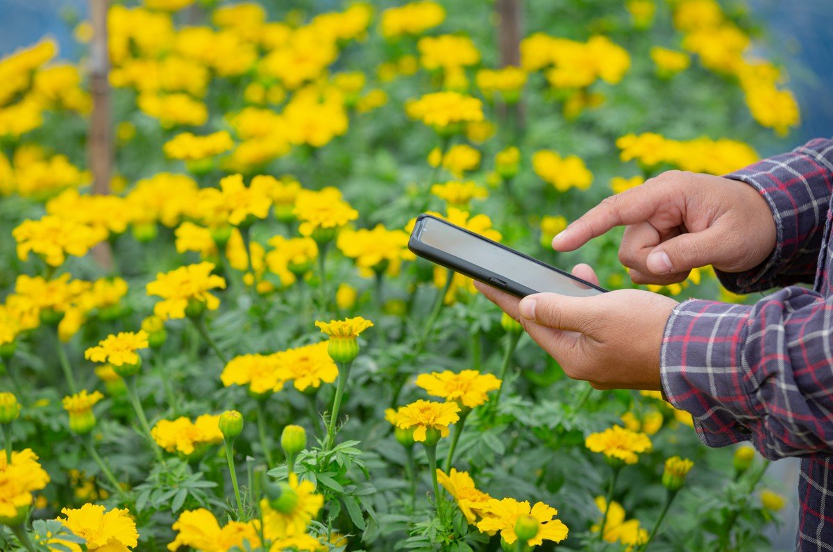 smart irrigation controller with soil moisture sensor