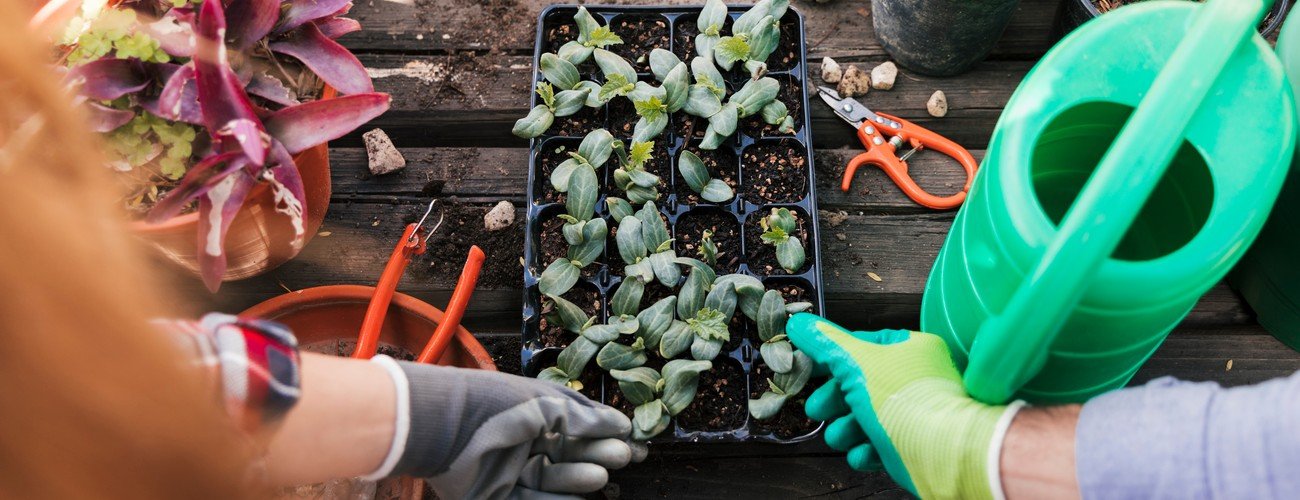 Garden Health & care services