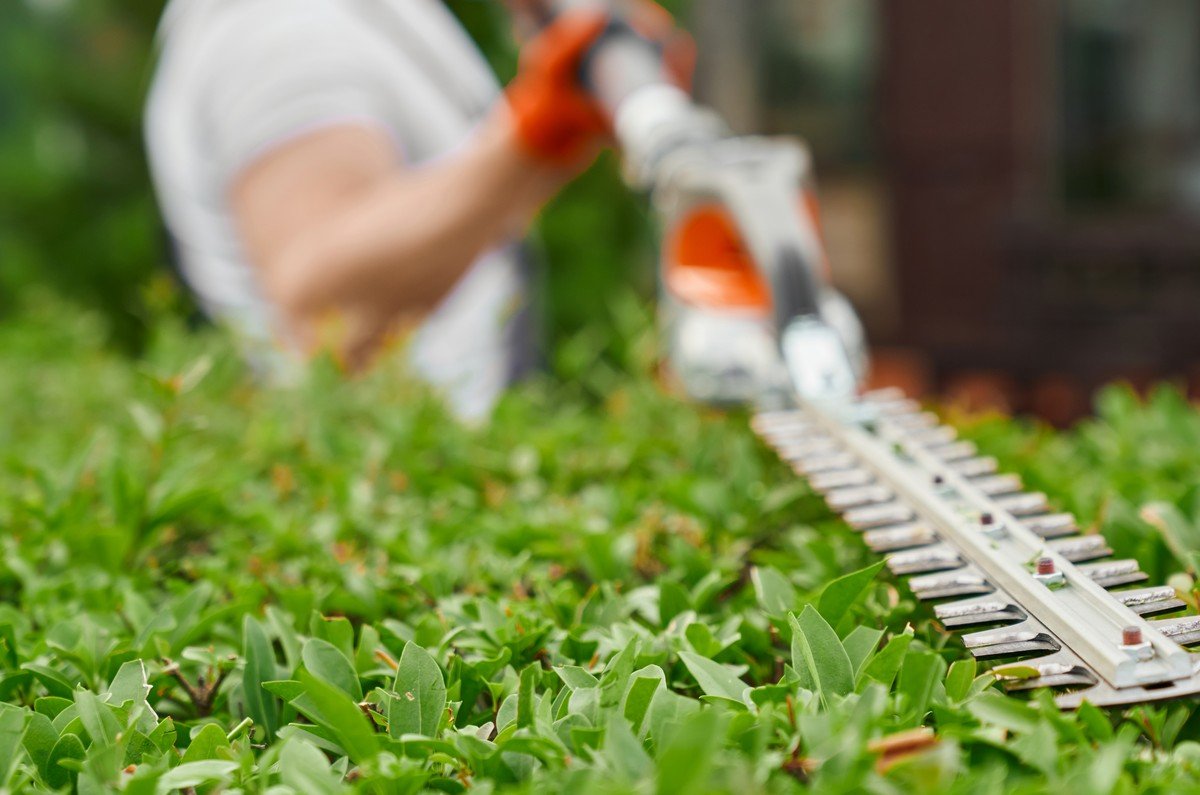 Lawn mowing and edging in dubai