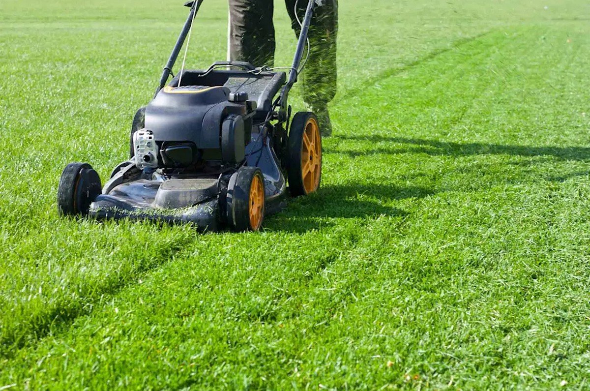 lawn mowing services in Dubai
