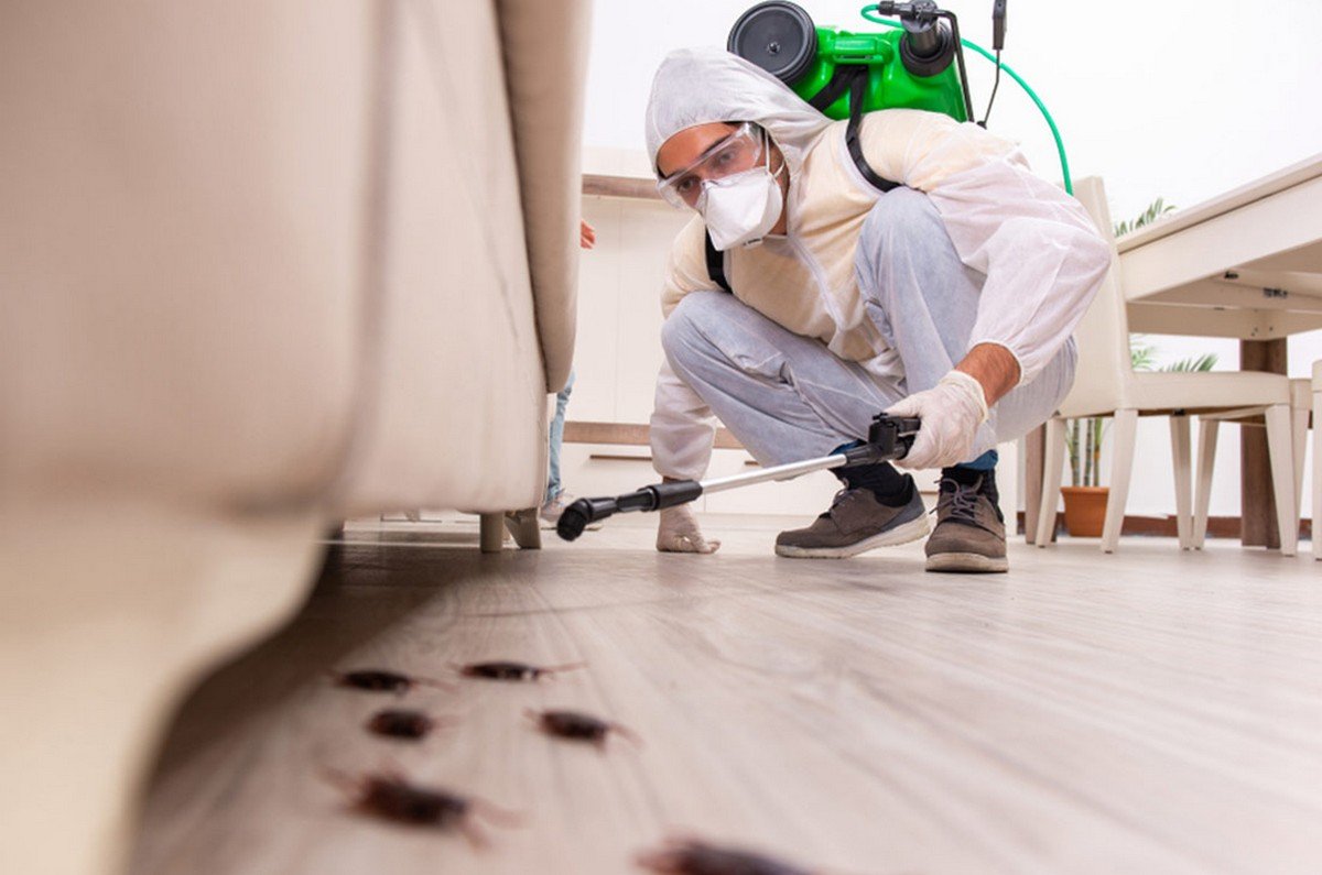 cockroach pest control sharjah