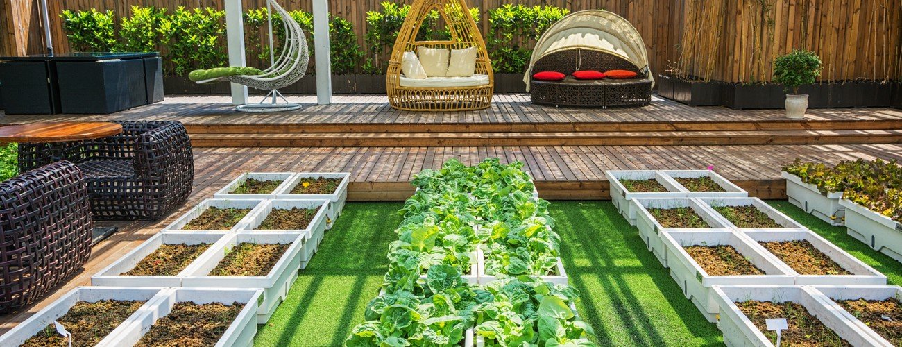 Rooftop and Terrace Landscaping