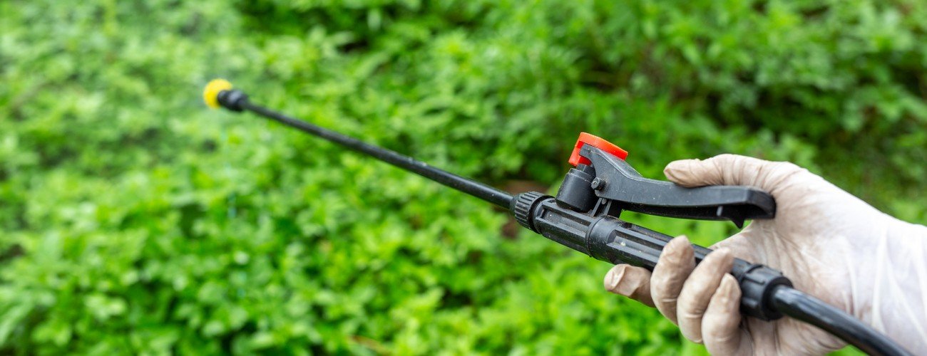 Gardeners are spraying.