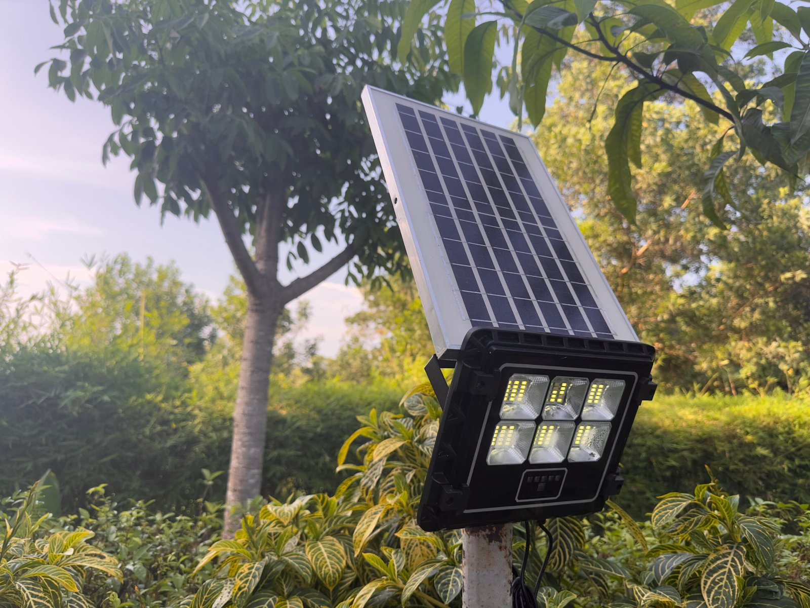 solar powered outdoor lights