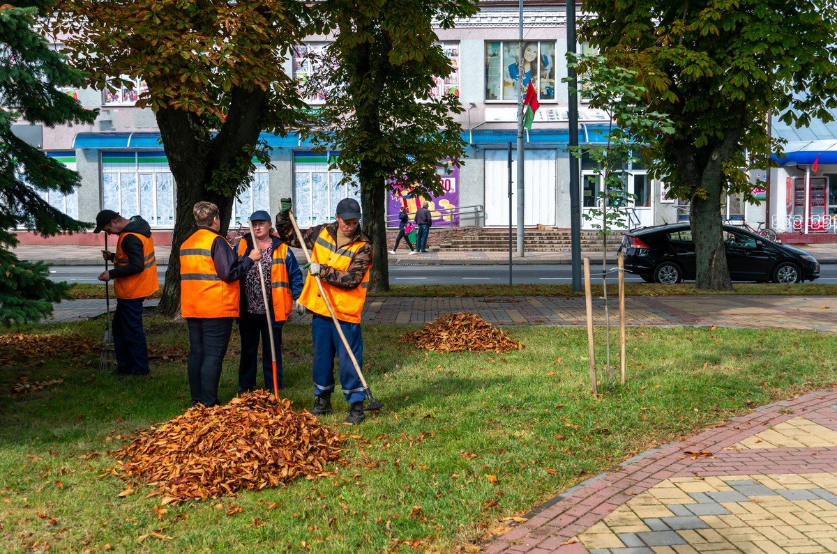 Cleaning sidewalks and lawns in Dubai