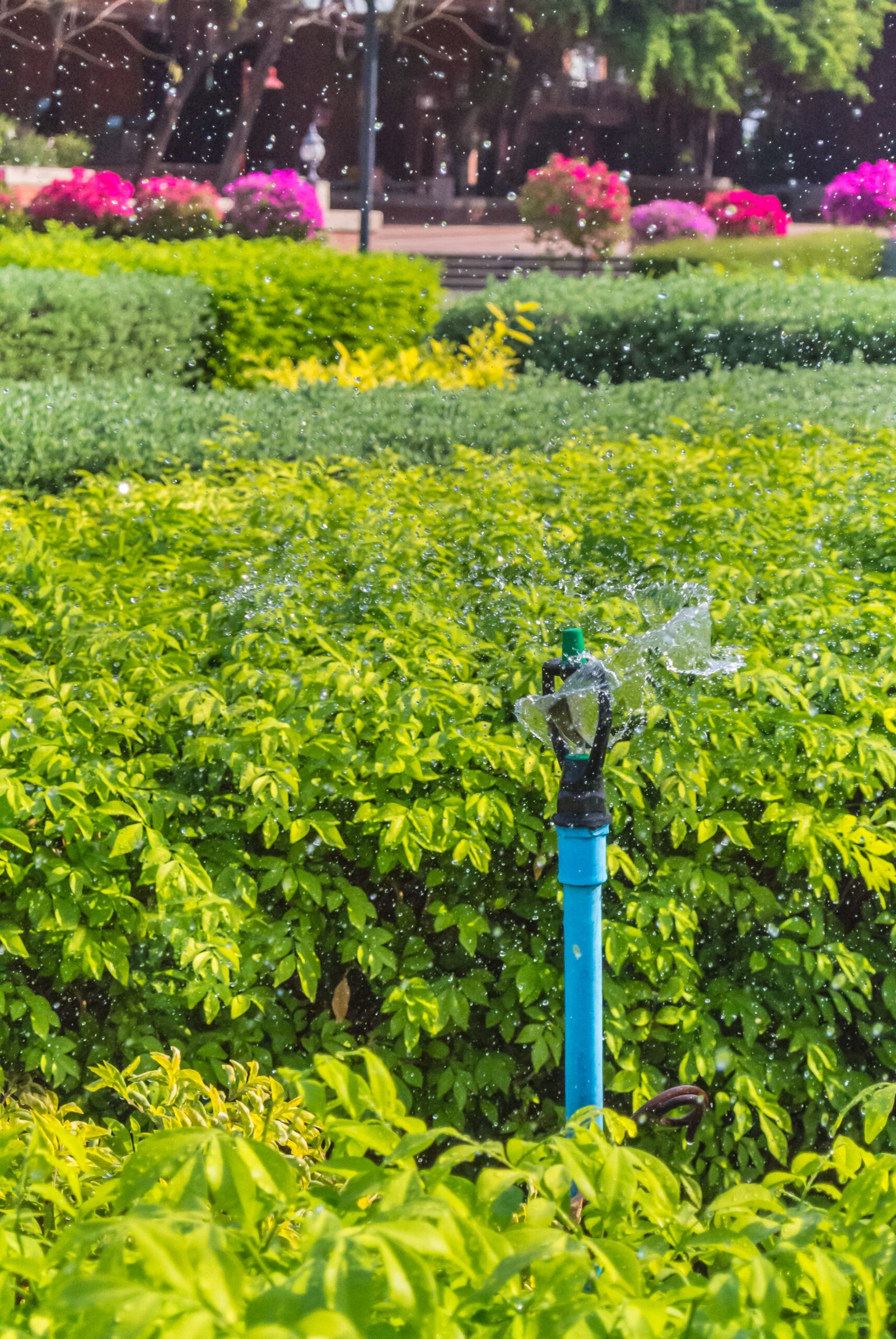 Automatic Watering System