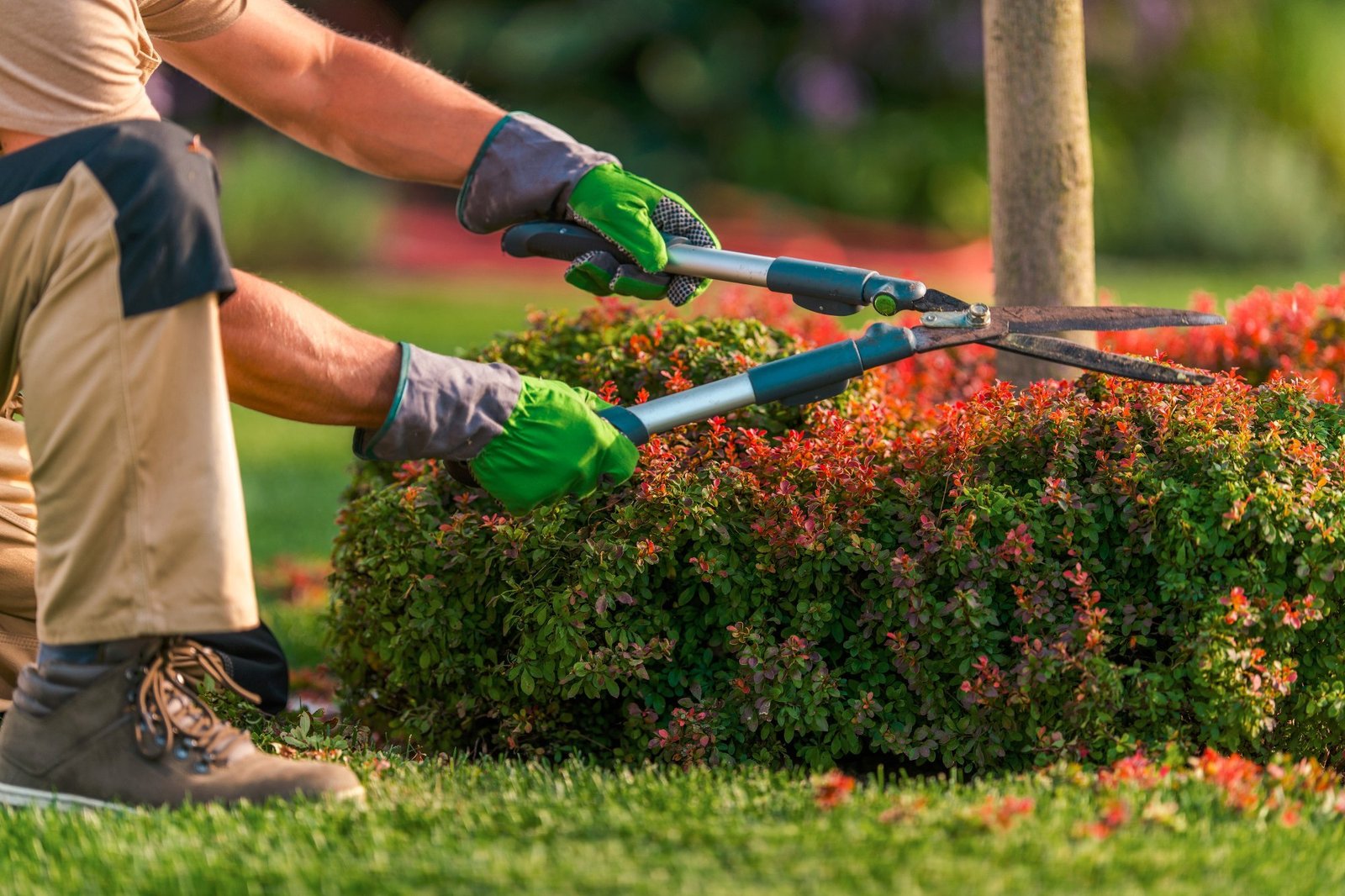 garden care services