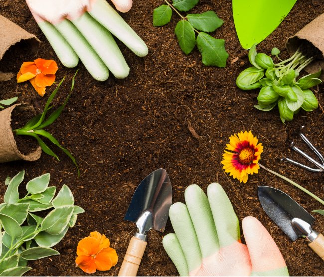 MARINA & COASTAL COMMUNITIES