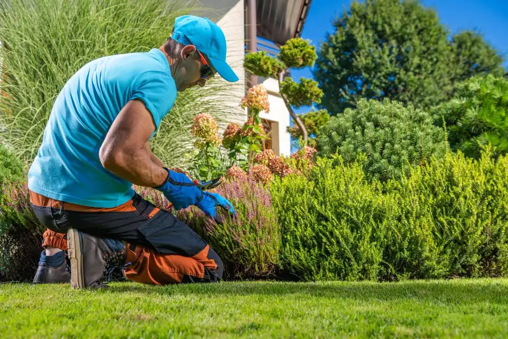 Seasonal Garden Maintenance Checklist for Villas & Communities