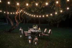 Step-by-Step Guide How to Install Professional Garden Lighting
