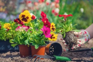 Top Seasonal Plants and Flowers to Keep Your Garden Vibrant Year-Round