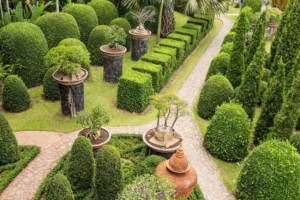 Landscaping & Garden Design