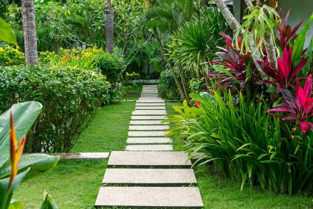 wellkept-tropical-garden-with-path-after-rain